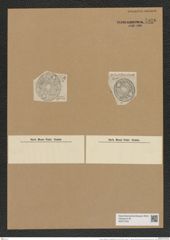 Auliscus caelatus var. aucklandicus Grun. (de-Toni-Nr.: Genus 171, Species 4362) Zeichnungen Sammlung Grunow Nr. 7926 (NHMW-BOT-W0377202)